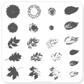 Clear Jelly Stamper -  Stamping Plate - CJS_26 - Sunflowers & Leaves