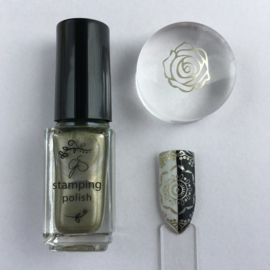 Clear Jelly Stamper Polish - #46 Enchanted Slippers