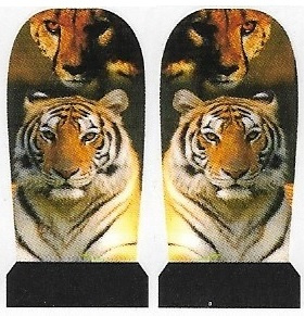 Whole Nail Waterdecal - Tiger