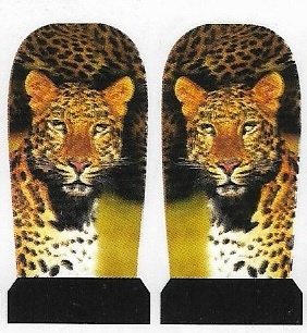 Whole Nail Waterdecal - Leopard