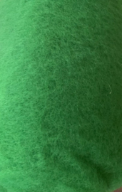 Kaardvlies / Bergschaap in vlies, kleur 175 mos groen