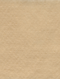 Naaldvlies 19,5 micron, zand 17, 112 cm breed per meter