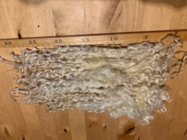 Wensleydale krullen, 25 + cm lang uitgezocht ecru,15 gram