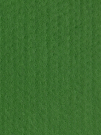 Naaldvlies 19,5 micron, groen 78, 120 cm breed per meter