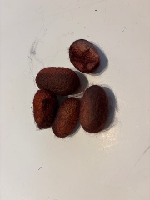 Zijde cocons, nummer 3,rood-assorti  5 stuks