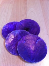 schelpen decoratie paars prijs per stuk