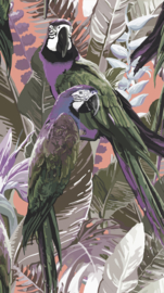 Erismann Zooom One Fotobehang 2518N-82 Cheeky Parrots/Papegaaien