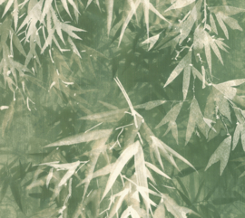 Montecolino Folium Behang FO18603 Fargesia/Bamboe