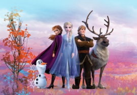 Komar Disney Edition4 Fotobehang Frozen Iconic 8-4103 Anna/Elsa