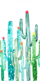 Esta XL Photowalls For Kids Fotobehang 158829  Natuurlijk/Cactus