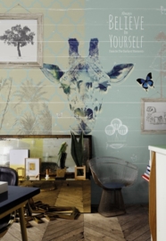 Atwalls Windmill Avenue Fotobehang. 6332030