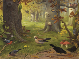 DWD Natural History/M.A Koekkoek Fotobehang NH250069 Boschvogels/Maatwerk