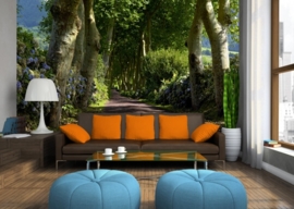 Dutch wallcoverings Fotobehang. FTS 1303 Natuurlijk/Bomen