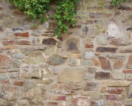 Metropolitan Stories The Wall 2 Fotobehang 392471 Natuursteen/Hedera plant