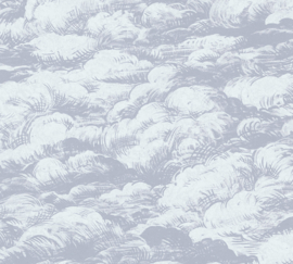 AS Creation Jungle Chic Behang 37705-4 Wolken/Natuurlijk