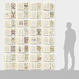 DWD Natural History Fotobehang NH250063 Vlinder encyclopedie|Maatwerk