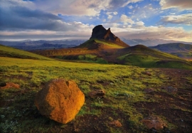 Fotobehang 1-600 Komar Natuur