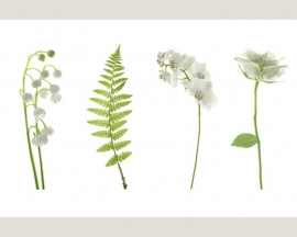Fotobehang 036201 ASCreation Bloemen