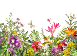 AS Creation Designwalls Fotobehang DD118799 Motley Flowers/Botanisch