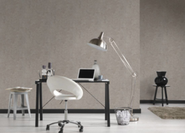 ASCreation Metropolitan Stories Behang 36911-1 / 369111 Beton/Verweerd