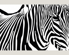 Fotobehang 036431 Zebra ASCreation