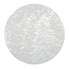 Dutch Wall Decor Fashion For Walls Cirkels 2553N-71 Hazy Pines/Dennenbomen