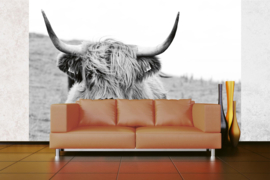 Dimex/Wall Murals 2023 Fotobehang MS-5--0458 Scottish Cow/Schotse hooglander