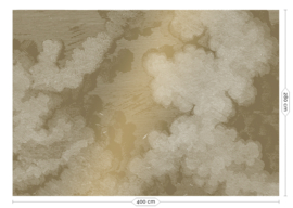 Dutch Wallcoverings Gold Collection Fotobehang MW-012 Engraved Clouds/Wolken
