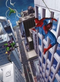Behang. 4-433 Spiderman-Komar