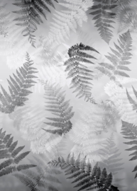 Behangexpresse Light & Dark  Fotobehang INK7327 Fern Forest/Varens