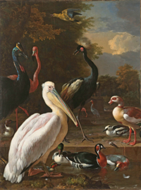 AS Creation History of Art Digitale Fotowand DD118820 Menagerie/Vogels