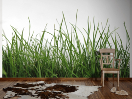 AS Creation AP Digital4 Fotobehang  DD109161 Green Gras Detail/Gras