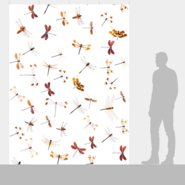 DWD Natural History Fotobehang NH250048 Libellen/Odonata/Maatwerk