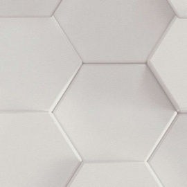 AS Creation PintWalls Behang 38723-1 Hexagon/3D