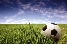 Dimex Fotobehang MS-5-0305 Soccer Ball/Voetbal/Gras