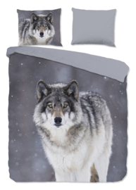 Muller Textiles Dekbedovertrek 10078 Wolfie/Wolf/Dieren/2 persoons
