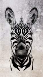 Erismann Zooom One Fotobehang 2516N-81 Cool Zebra
