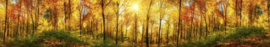 Dimex Zelfklevende Keuken Achterwand Sunny Forest KL-260-084 Bomen/Natuur