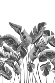 Esta Home Scandi Cool Fotobehang Large Banana Leaves Grey 158907 Bananenbladeren