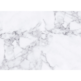 AS Creation Designwalls Fotobehang DD118754 White Marble1/Marmer