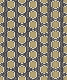 Rasch Sensai Behang 297828 Hanikamu Black & Gold/Hexagon