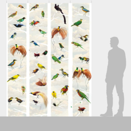 DWD Natural History Fotobehang NH250050 Paradijsvogels in Chinoiserie stijl/Maatwerk