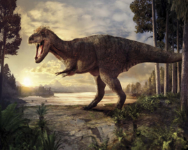 DWD Natural History Fotobehang NH250028 Tyrannosaurus rex/Dinosaurus/Maatwerk