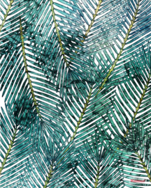 Komar Pure Fotobehang P025-VD2 Palm Canopy Lies/Bladeren