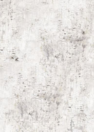 Behangexpresse Passion for Materials INGK Fotobehang INK7379 Trondheim Light/Hout/Schors