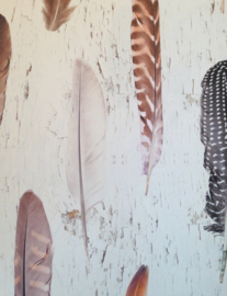 Opruiming/Sale Onszelf Enjoy Fotobehang OZ 3128  Veren/Feathers