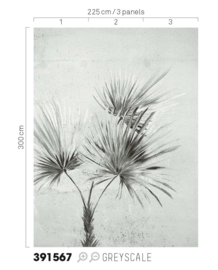 Eijffinger Terra Fotobehang 391567 Palm Greyscale/Palmboom