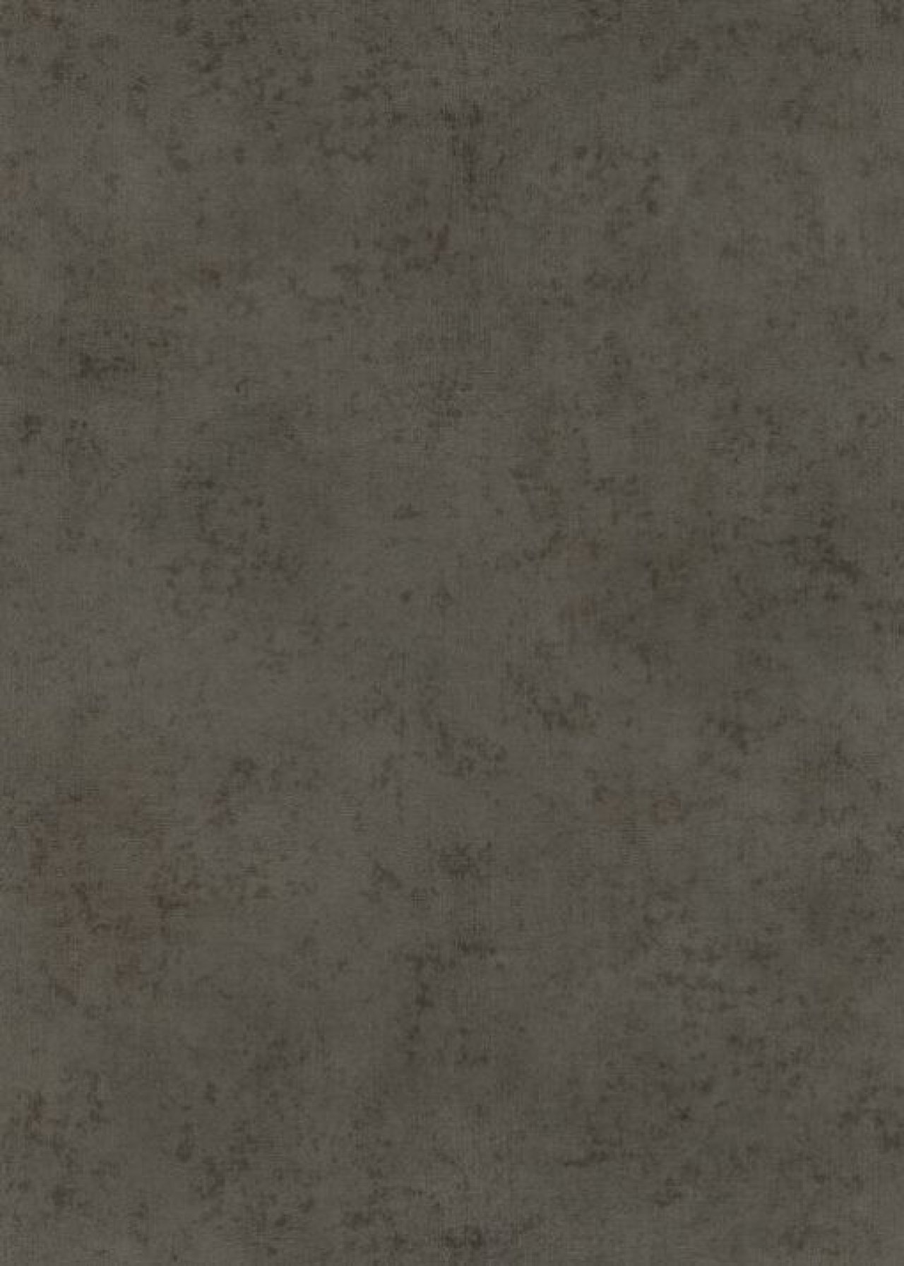 Dutch Wall Decor Elle 4 Behang 10438-37 Uni Beton structuur