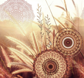 Behangexpresse Circle of Life/Select.D Fotobehang TD4179 Moody/Mandala