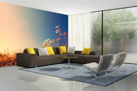 Dimex/Wall Murals Fotobehang MS-5-1310 Beautiful Cosmos Flowers/Bloemen